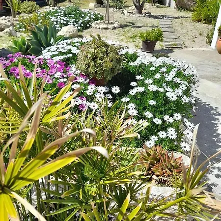 Pensión Casa Chanel