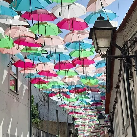 Casa Chanel Pensjonat