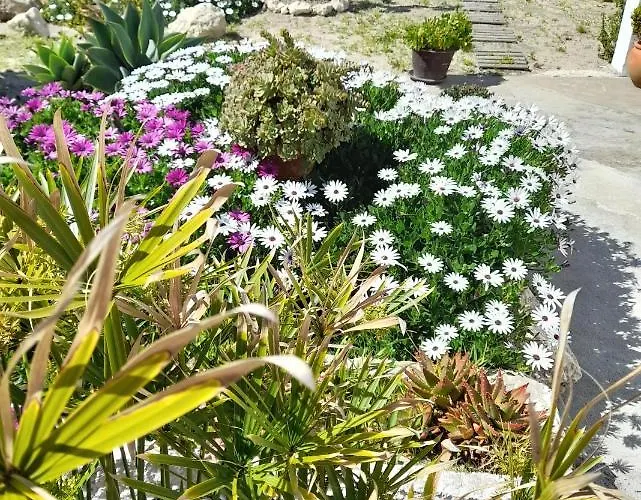 Maison d'hôtes Casa Chanel