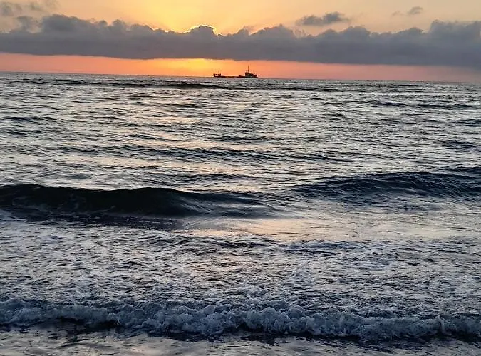 Casa Chanel Figueira da Foz