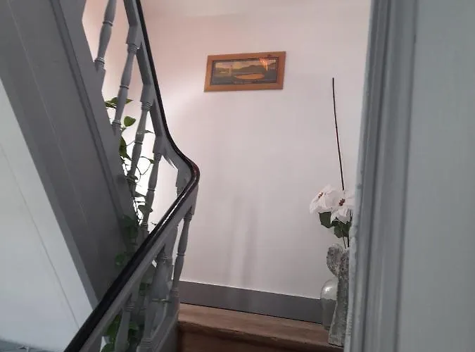 Casa Chanel 菲盖拉-达福什